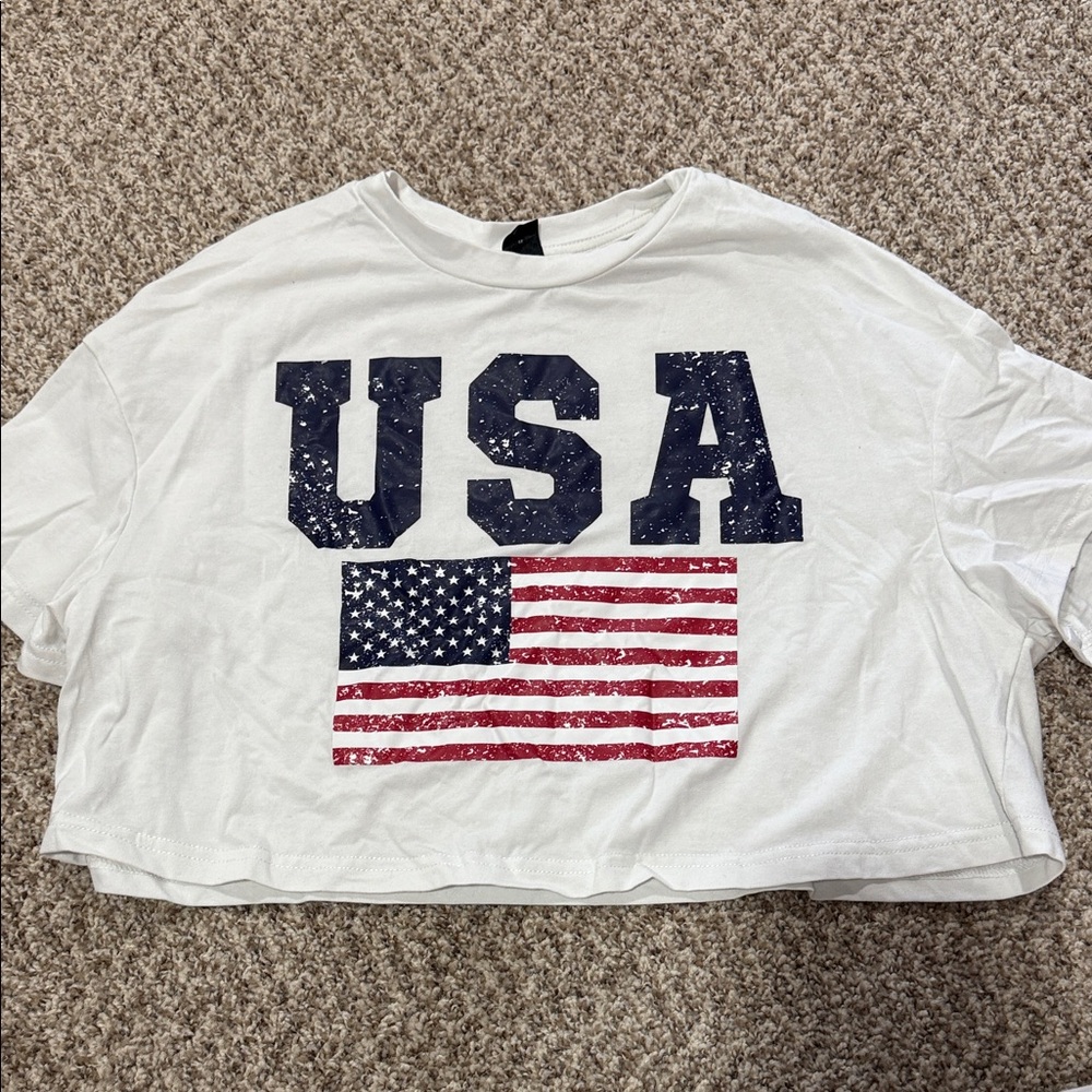 USA Flag Graphic Crop Top